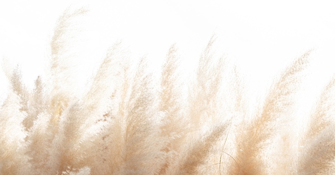 Counselling and Psychotherapy